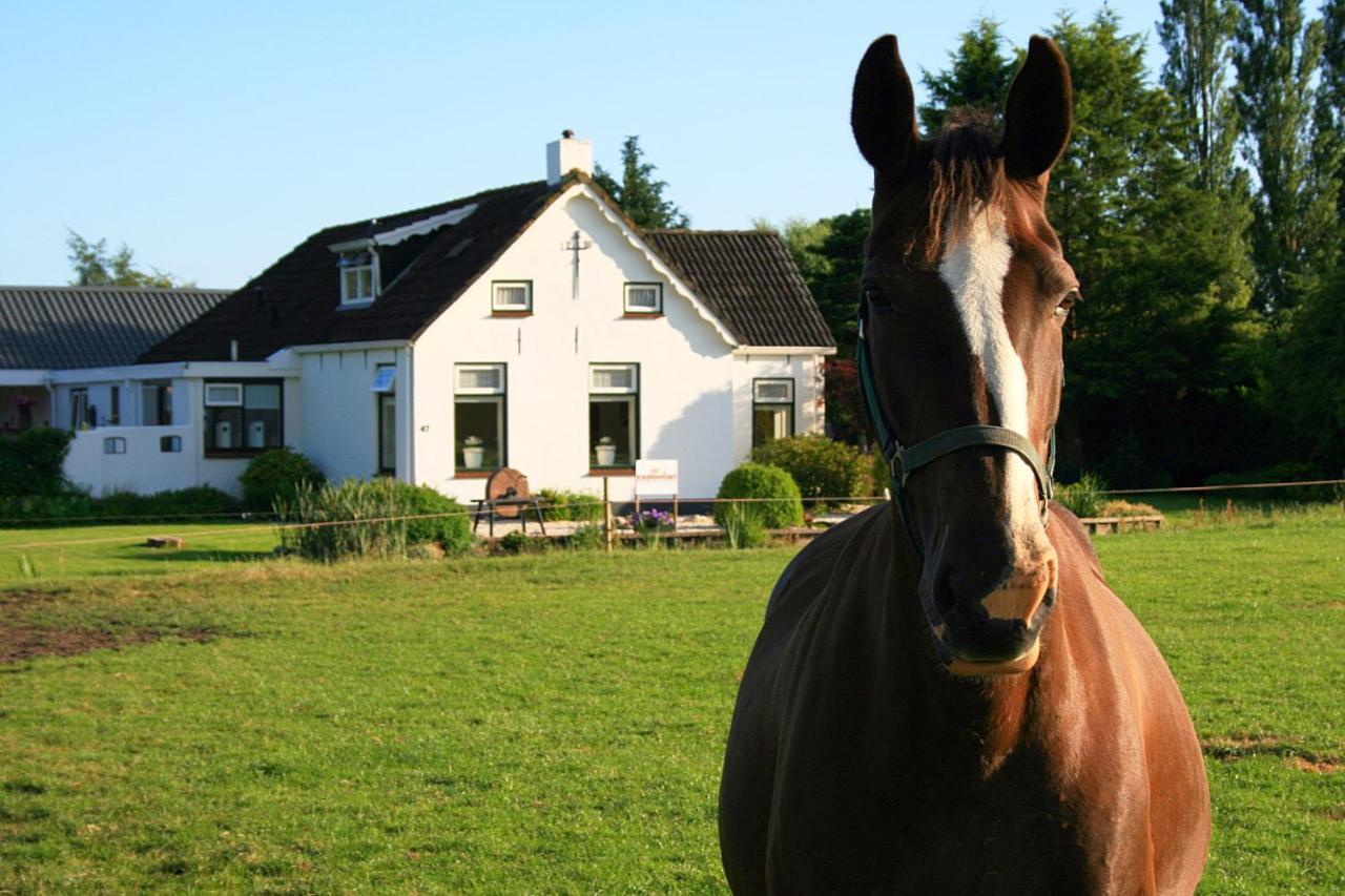 Locatie Het Knooppunt Engelse Chalet Нейс Екстер'єр фото